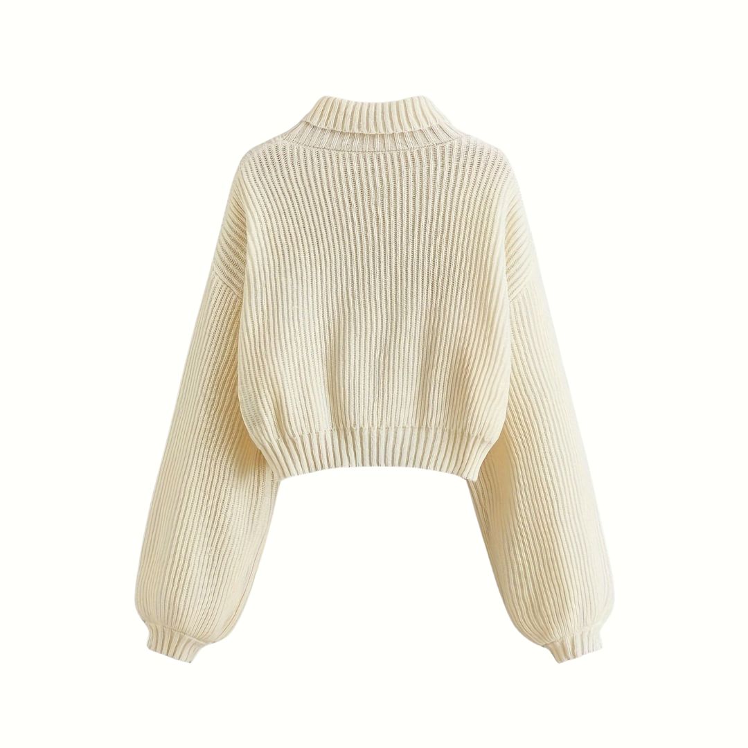 Animal Embroidered Turtle Neck Sweater